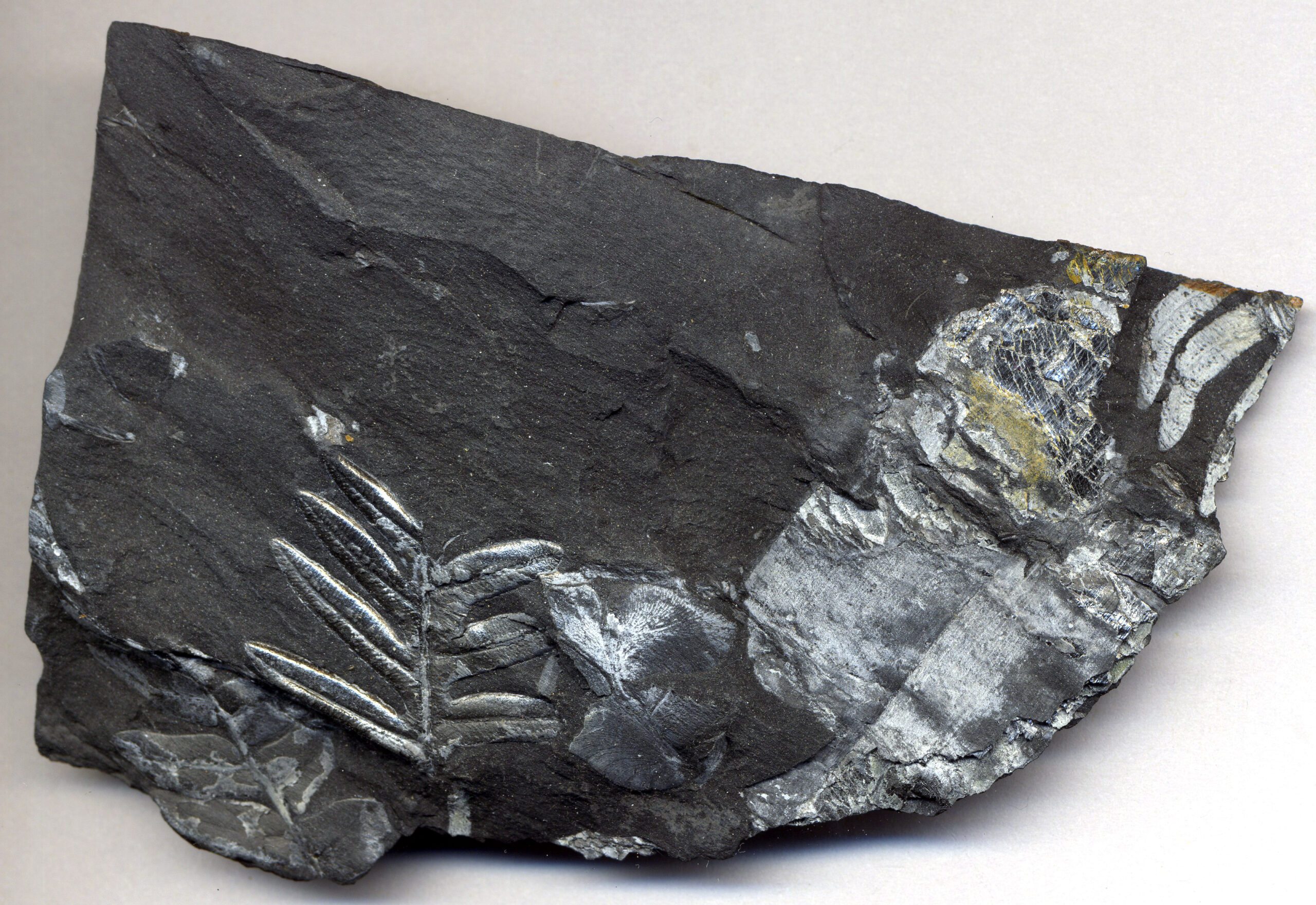 How the Shale Boom Will Rejuvenate the Plastic Injection Molding Industry