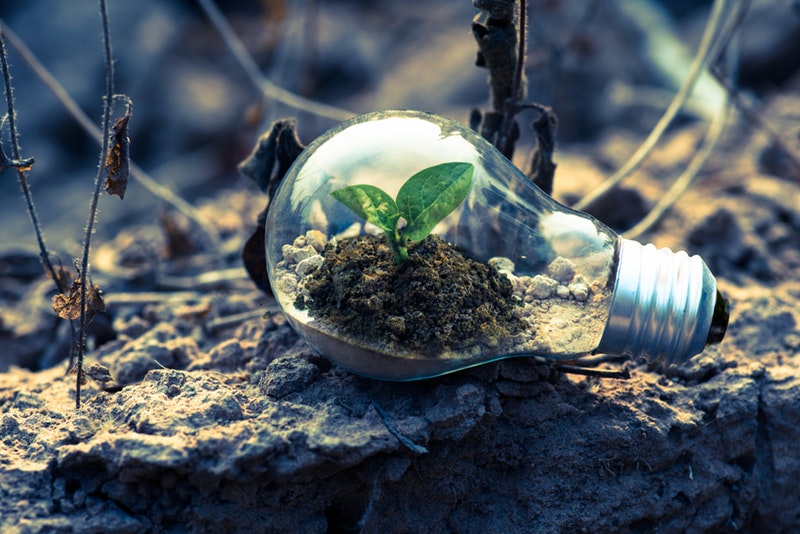 Is Your Injection Molder Sustainable?