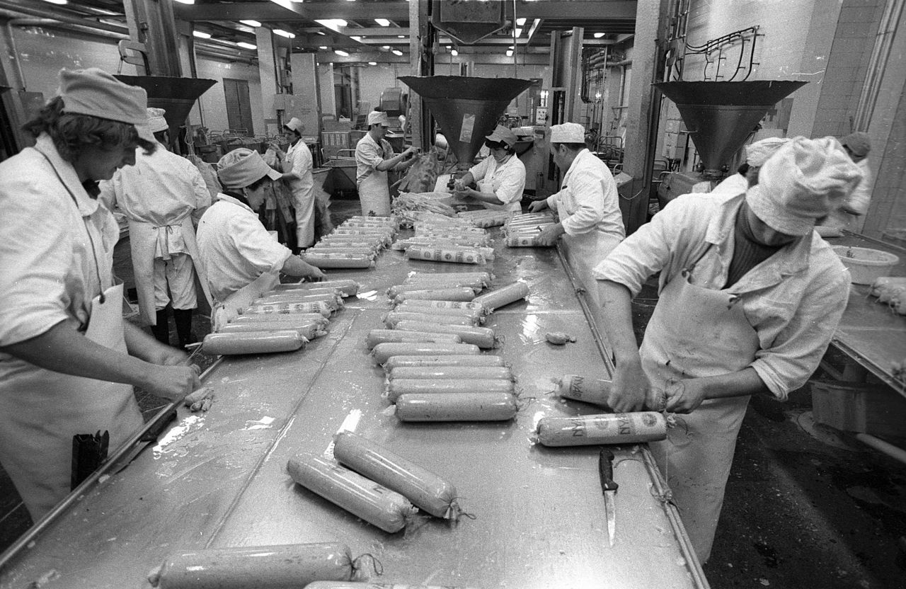 Used For Food Processing Equipment