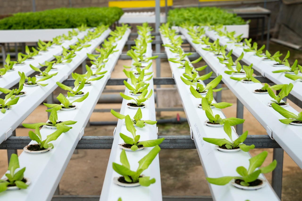 Why The Agriculture Industry Is Moving from Metal to Plastic Injection Molding